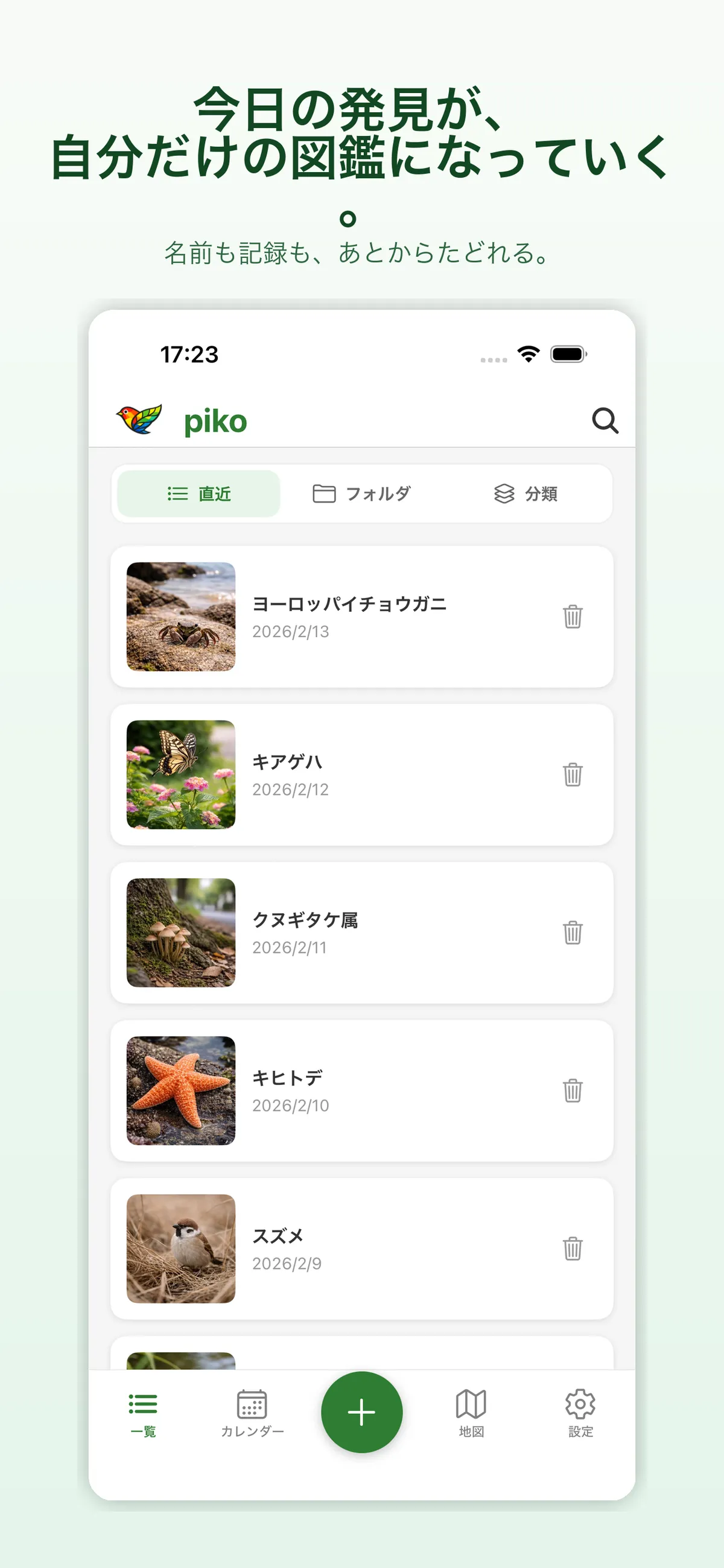 pikoの一覧画面。記録した動植物が自分の図鑑として並んでいる